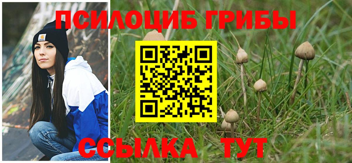 Галлюциногенные грибы Psilocybe  Галлюциногенные грибы прущие грибы  Вход с VPN  Нижний Тагил 