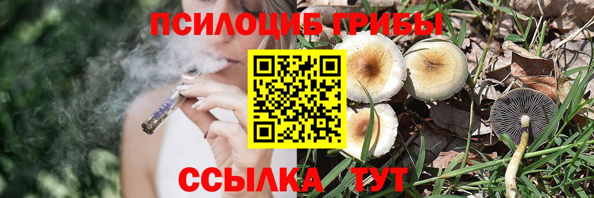 Галлюциногенные грибы GOLDEN TEACHER Нижний Тагил